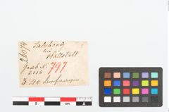 Etikett zu Bronzefragment (NHMW-PRAE-026074)